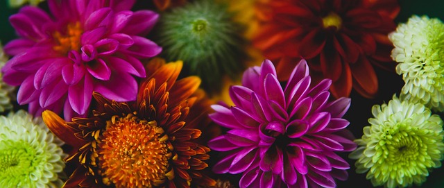 比赛背景与 比赛背景与