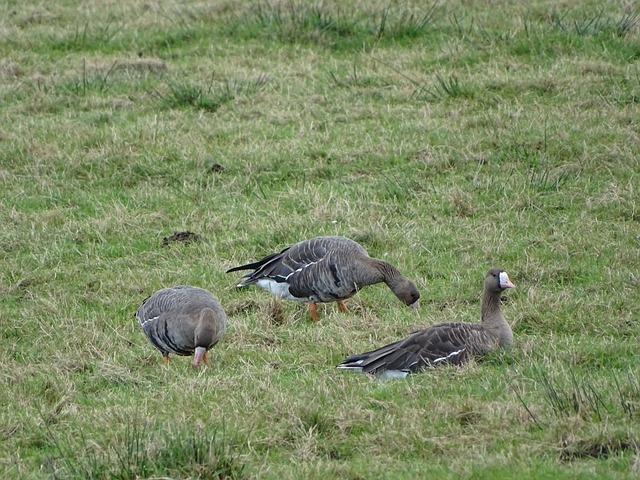 不断突破自 不断突破自