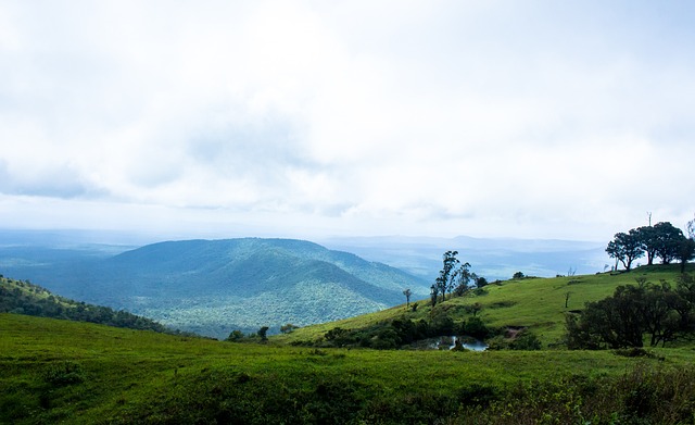 在多项国际 在多项国际