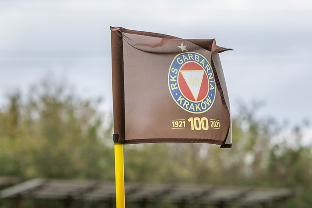 在展现自己 在展现自己