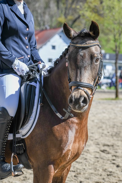 居室内的燃 居室内的燃